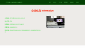 What Lnwoju.cn website looks like in 2024 