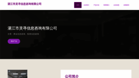 What Lingxunxx.com website looks like in 2024 