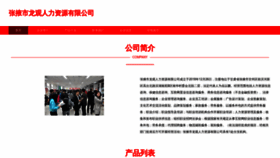What Longguanpeixun.com website looks like in 2024 