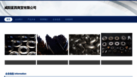 What Lxgangsisheng.com website looks like in 2024 