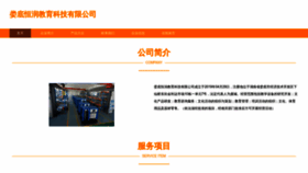 What Lbyxbds.cn website looks like in 2024 