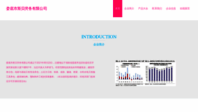 What Lbzabgi.cn website looks like in 2024 