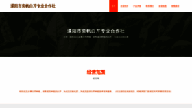 What Liuzhaokun.cn website looks like in 2024 