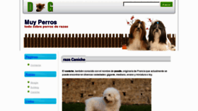 What Muyperros.com website looked like in 2013 (10 years ago)