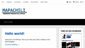 What Mapachili.com website looked like in 2015 (8 years ago)