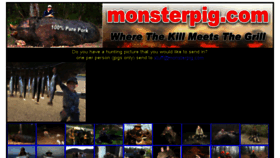 What Monsterpig.com website looked like in 2016 (8 years ago)