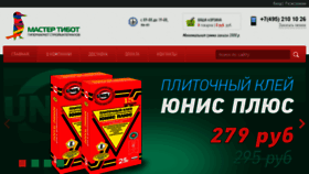 What Mastertibot.ru website looked like in 2016 (8 years ago)