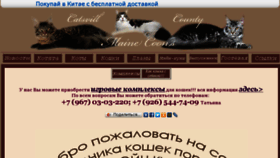 What Mcoon.ru website looked like in 2016 (8 years ago)
