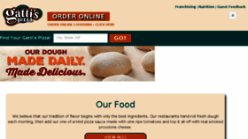 What Mrgattis.com website looked like in 2016 (8 years ago)