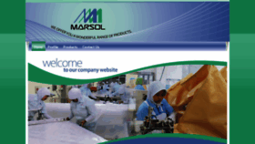 What Marsol.co.id website looked like in 2016 (8 years ago)