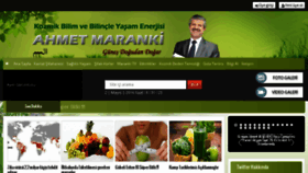 What Maranki.com website looked like in 2016 (8 years ago)