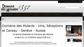 What Molards.ch website looked like in 2016 (7 years ago)
