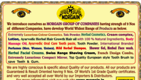 What Morgain.in website looked like in 2016 (7 years ago)