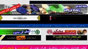 What Mahmoudvand.ir website looked like in 2017 (7 years ago)