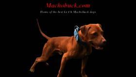 What Machobuck.com website looked like in 2017 (7 years ago)