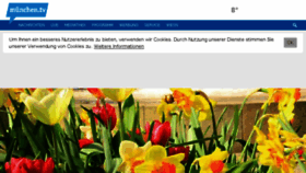 What Muenchen-tv.de website looked like in 2017 (7 years ago)