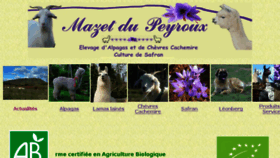 What Mazetdupeyroux.fr website looked like in 2017 (7 years ago)