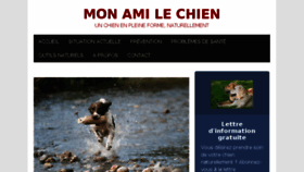 What Mon-ami-le-chien.com website looked like in 2017 (7 years ago)