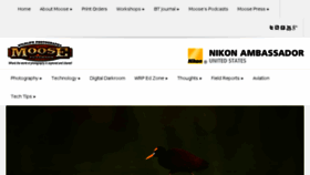 What Moosepeterson.com website looked like in 2017 (6 years ago)