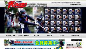 What Minamo-ogaki.com website looked like in 2017 (6 years ago)