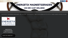 What Magneetsieraden.nu website looked like in 2017 (6 years ago)