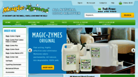 What Magic-zymes.com website looked like in 2017 (6 years ago)