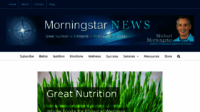 What Michaelmorningstar.com website looked like in 2017 (6 years ago)