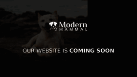 What Modernmammal.com website looked like in 2017 (6 years ago)