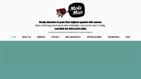 What Moleman.co.nz website looked like in 2017 (6 years ago)