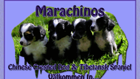 What Marachinos.com website looked like in 2017 (6 years ago)