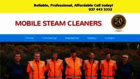 What Mobilesteamcleaners.net.nz website looked like in 2017 (6 years ago)