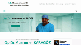 What Muammerkaragoz.com website looked like in 2017 (6 years ago)