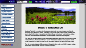 What Montana.plant-life.org website looked like in 2017 (6 years ago)