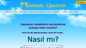 What Meleklerleyasamak.com website looked like in 2017 (6 years ago)