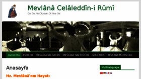 What Mevlana.com website looked like in 2017 (6 years ago)