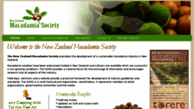 What Macadamia.co.nz website looked like in 2017 (6 years ago)