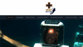 What Meritdivecenter.com website looked like in 2017 (6 years ago)