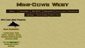 What Minicowswest.com website looked like in 2017 (6 years ago)