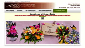 What Mondoflora.com website looked like in 2017 (6 years ago)