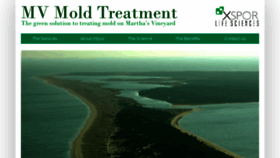 What Mvmoldtreatment.com website looked like in 2017 (6 years ago)