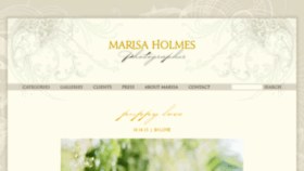 What Marisaholmesblog.com website looked like in 2017 (6 years ago)