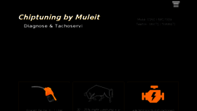 What Muleit-elektronik.de website looked like in 2017 (6 years ago)