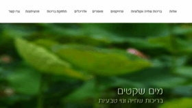 What Maim-shketim.co.il website looked like in 2017 (6 years ago)