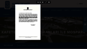 What Mosb.org.tr website looked like in 2017 (9 years ago)