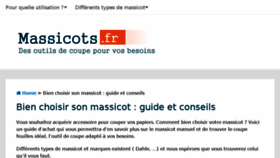 What Massicots.fr website looked like in 2017 (6 years ago)