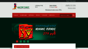 What Mastertibot.ru website looked like in 2017 (6 years ago)