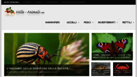 What Mille-animali.com website looked like in 2017 (6 years ago)