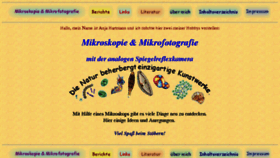 What Mikrofoto.de website looked like in 2017 (6 years ago)