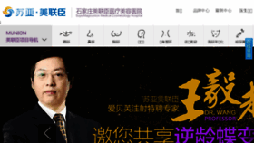 What Meilianchen.cn website looked like in 2017 (8 years ago)