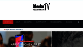 What Meekospark.com website looked like in 2017 (6 years ago)